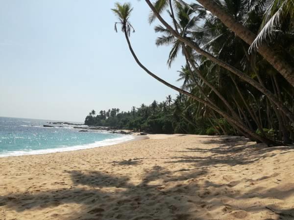 Muthu Resort & Restaurant Тангалла Экстерьер фото
